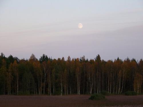 Weite Seenlandschaft (100_0965.JPG) wird geladen. Eindrucksvolle Fotos aus Lettland erwarten Sie.